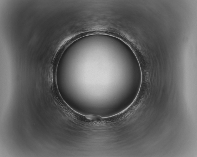 X0000116891214200912221447