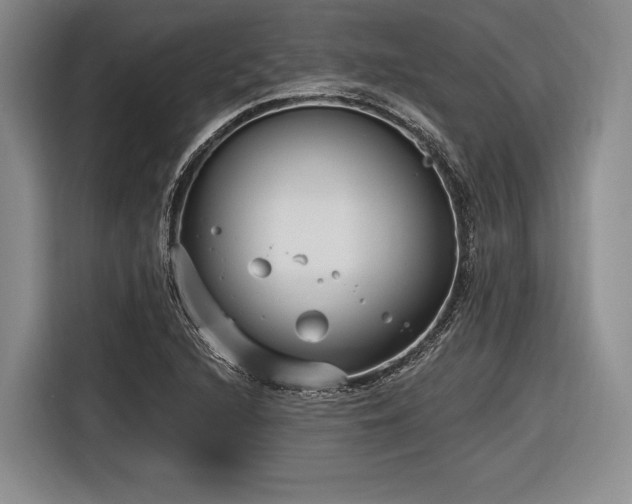 X0000116891216200912221447