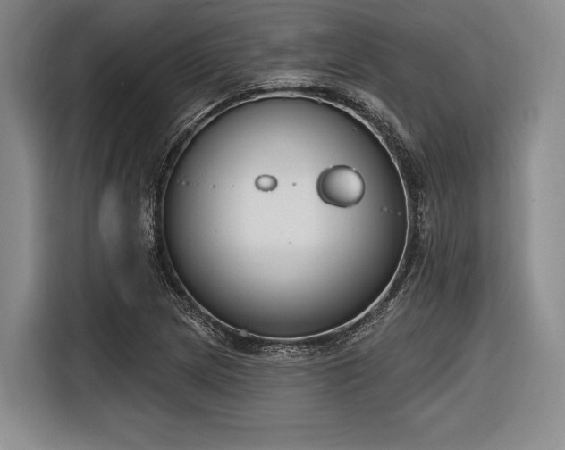 X0000116891217200912221447