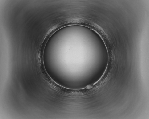 X0000116891218200912221447