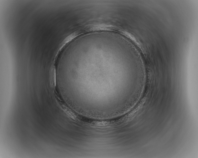 X0000116891219200912221447