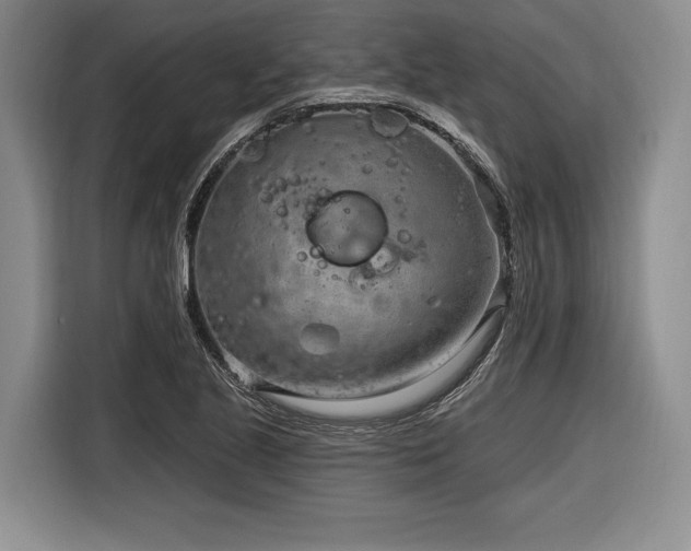 X0000116891221200912221447