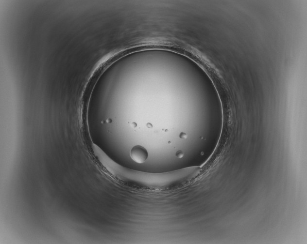 X0000116891222200912221447