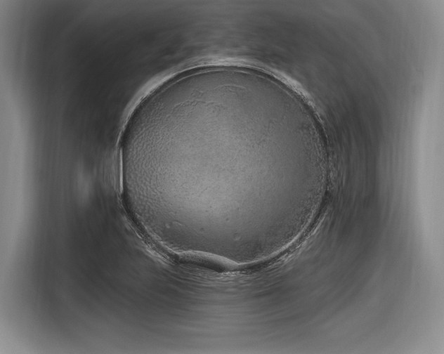 X0000116891223200912221447