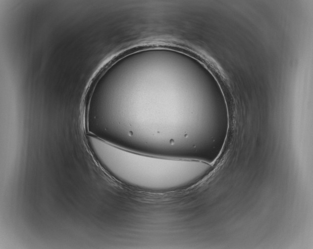 X0000116891224200912221447