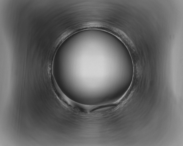 X0000116891225200912221447