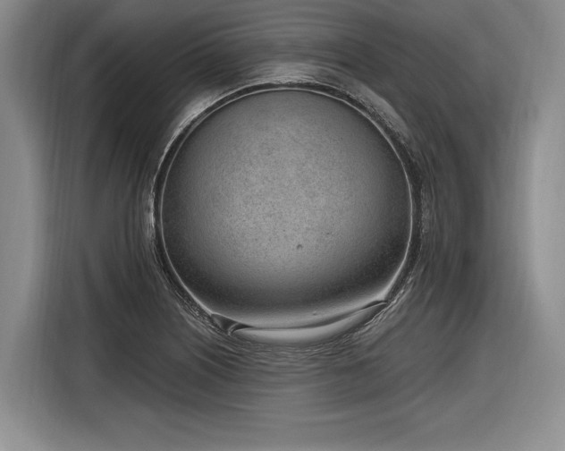 X0000116891226200912221447