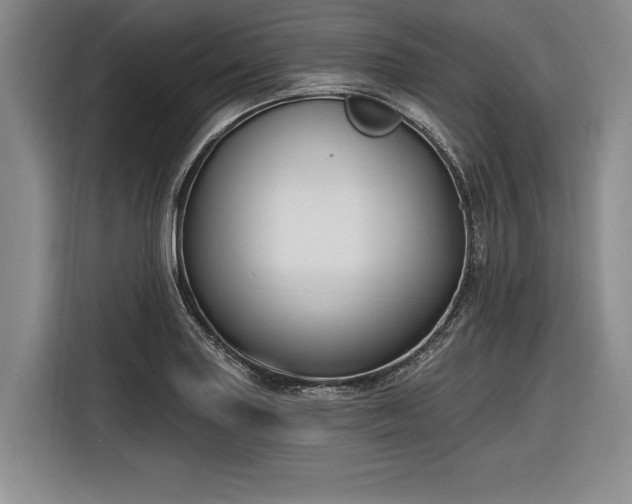 X0000116891227200912221447