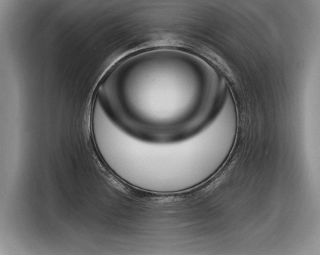 X0000116891228200912221447