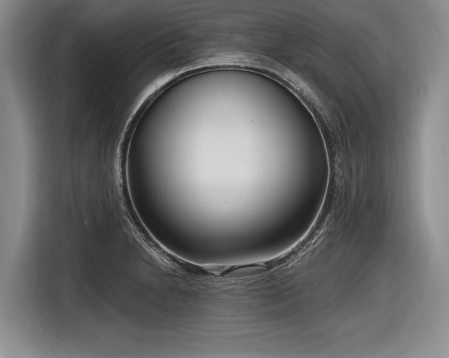 X0000116891230200912221447