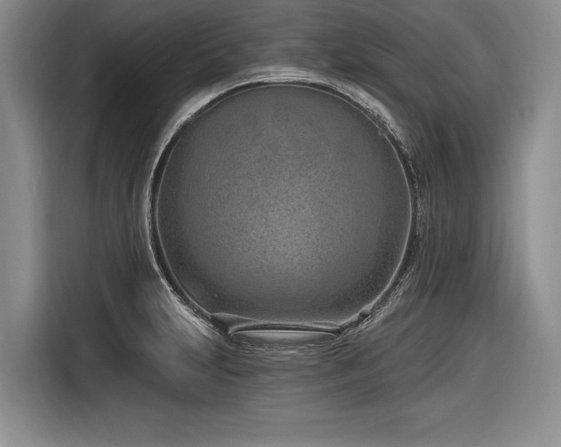 X0000116891231200912221447