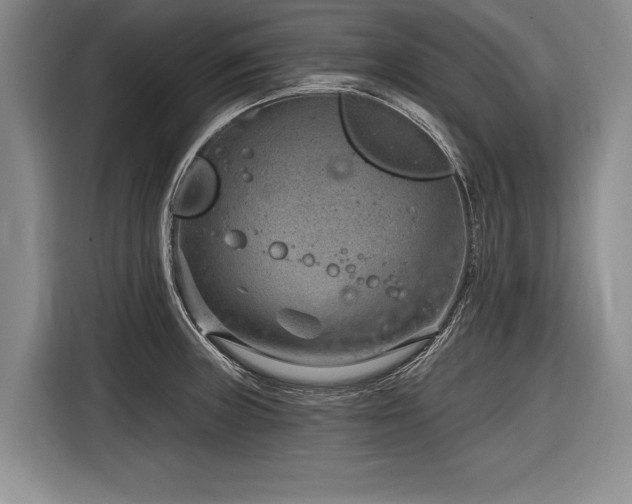 X0000116891235200912221447