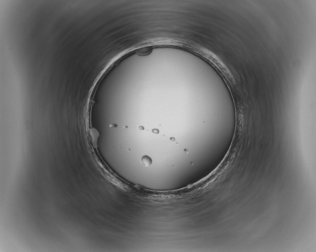 X0000116891236200912221447