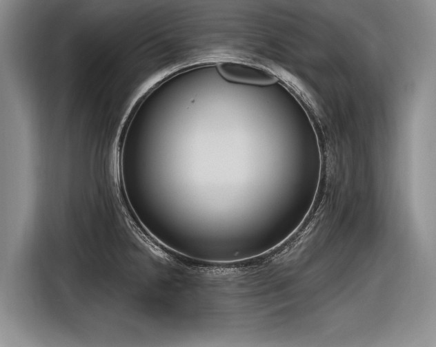 X0000116891238200912221447
