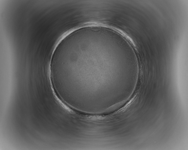 X0000116891239200912221447