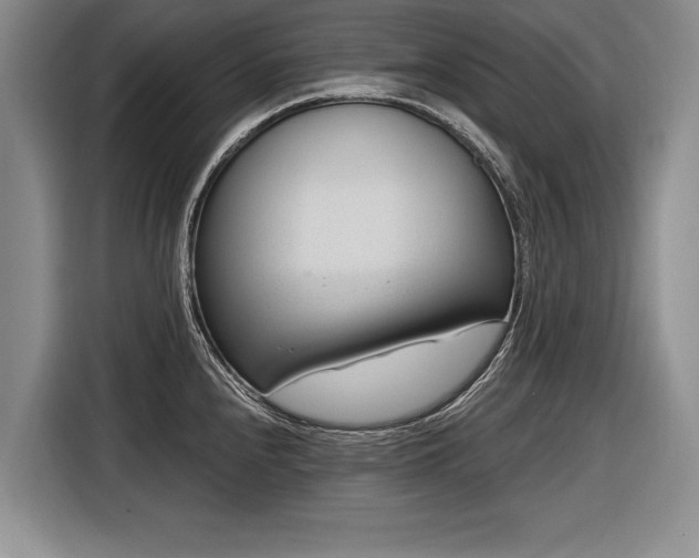 X0000116891240200912221447