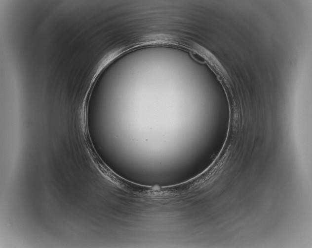 X0000116891242200912221447