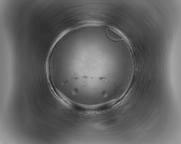 X0000116891243200912221447