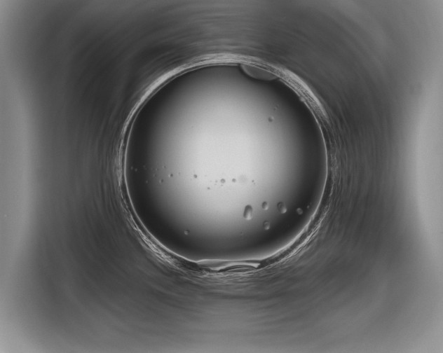 X0000116891244200912221447