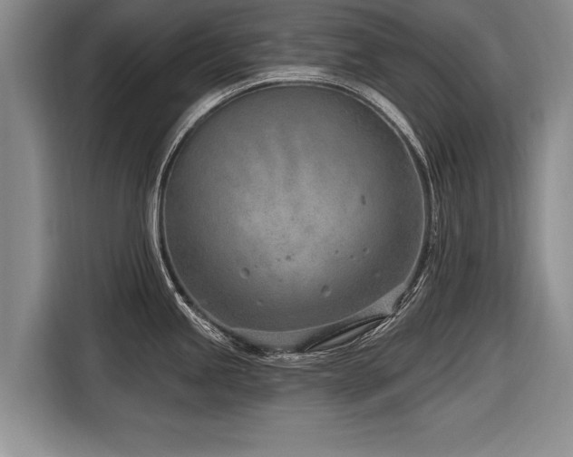 X0000116891245200912221447