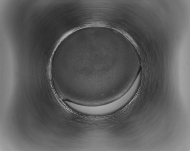 X0000116891246200912221447