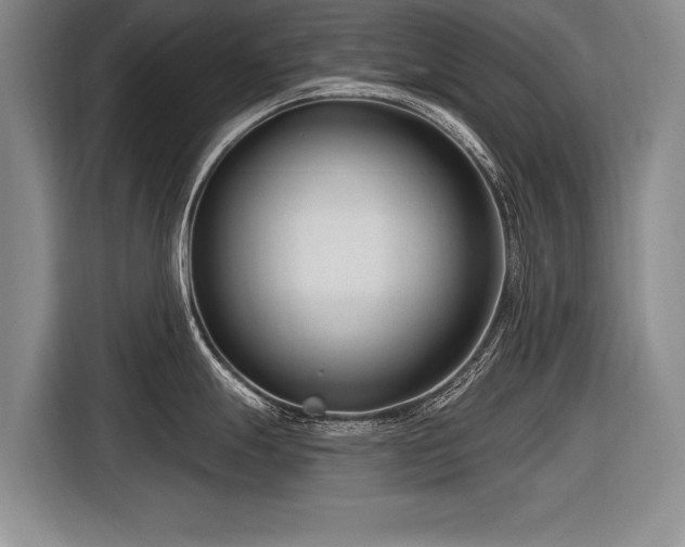 X0000116891247200912221447