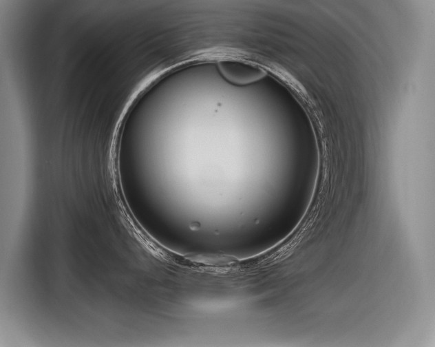 X0000116891248200912221447