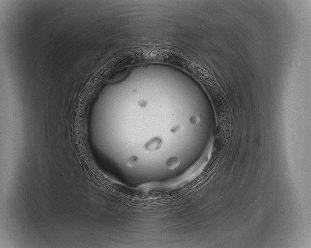 X0000116891249200912221446