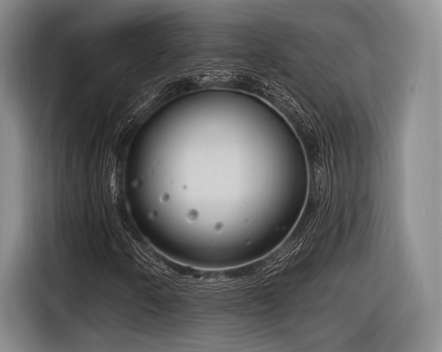 X0000116891250200912221446