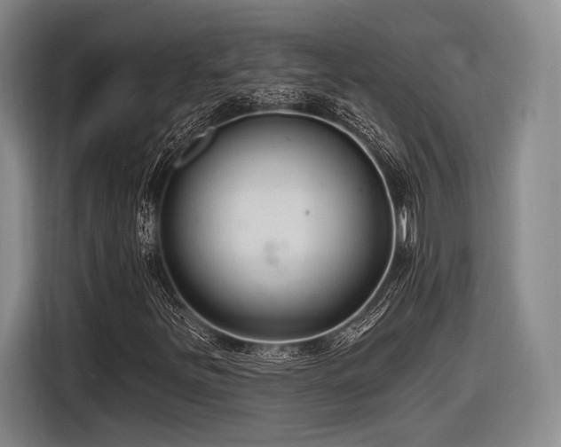X0000116891251200912221446