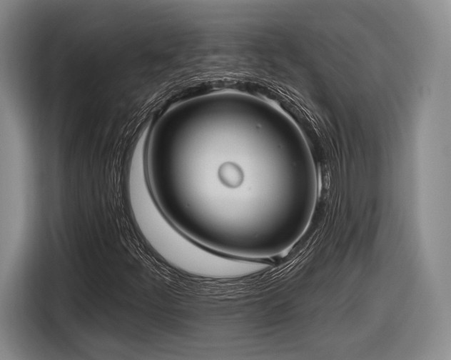 X0000116891252200912221446