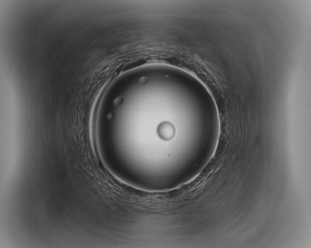 X0000116891253200912221446