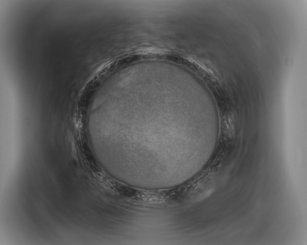 X0000116891254200912221446
