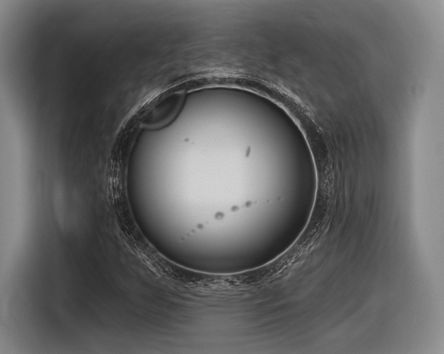 X0000116891255200912221446