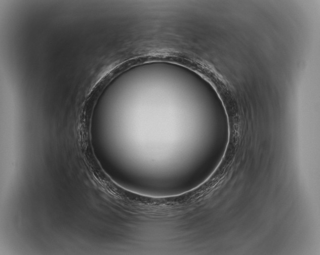 X0000116891256200912221446