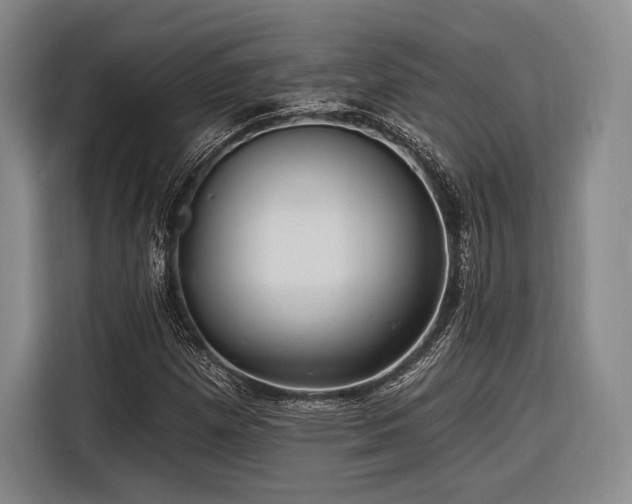 X0000116891257200912221446