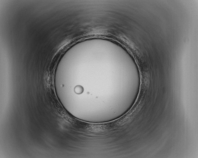 X0000116891258200912221446