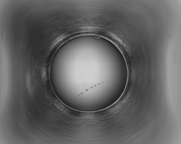 X0000116891259200912221446