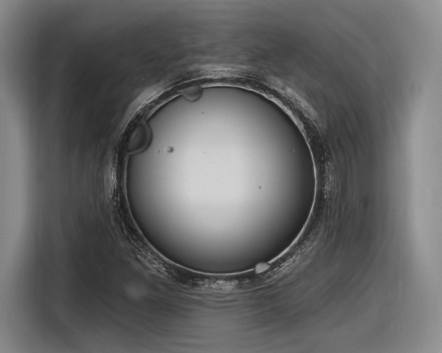 X0000116891261200912221446