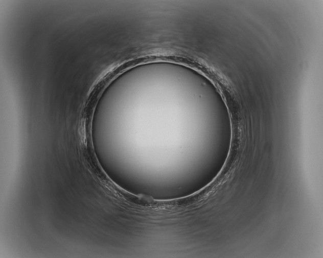 X0000116891262200912221446