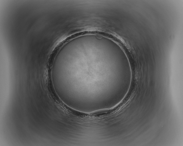X0000116891263200912221446