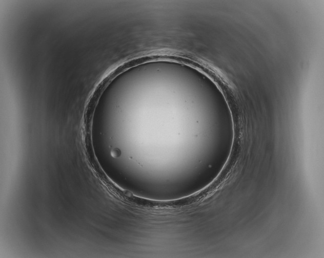 X0000116891264200912221446