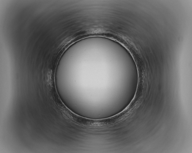 X0000116891265200912221446