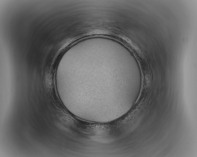 X0000116891266200912221446