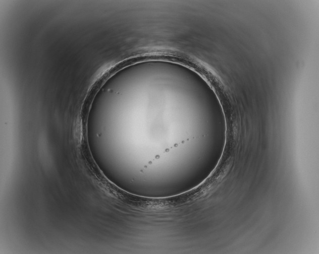 X0000116891267200912221446