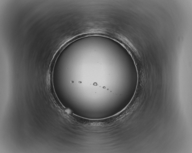 X0000116891268200912221446
