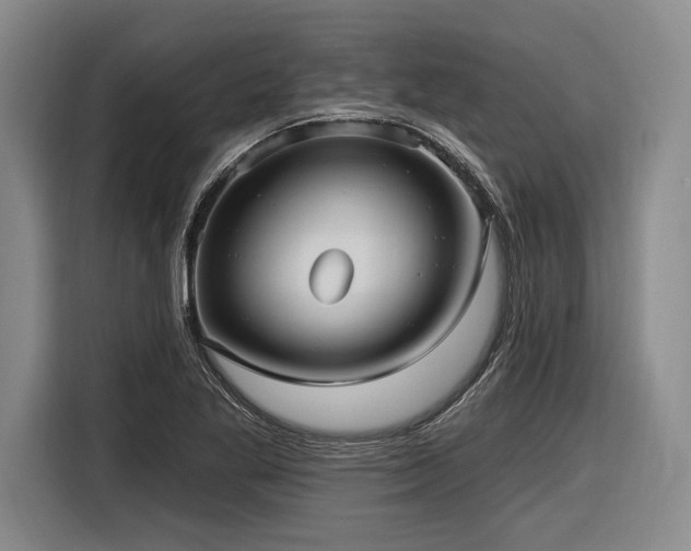 X0000116891269200912221446