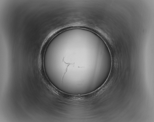 X0000116891270200912221446