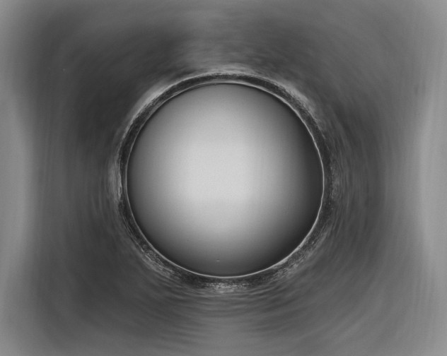 X0000116891271200912221446