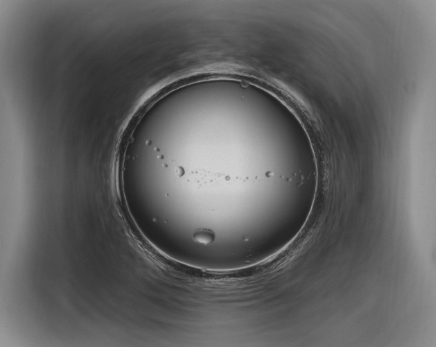X0000116891272200912221446